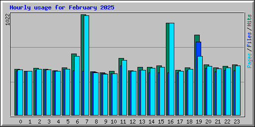 Hourly usage for February 2025