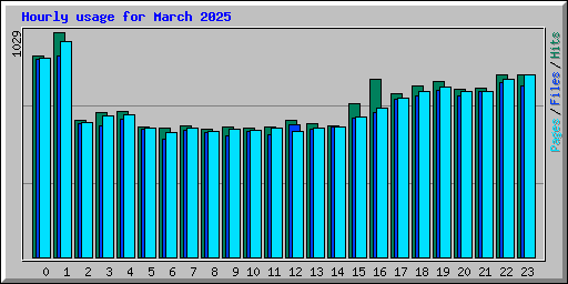 Hourly usage for March 2025