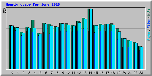 Hourly usage for June 2026
